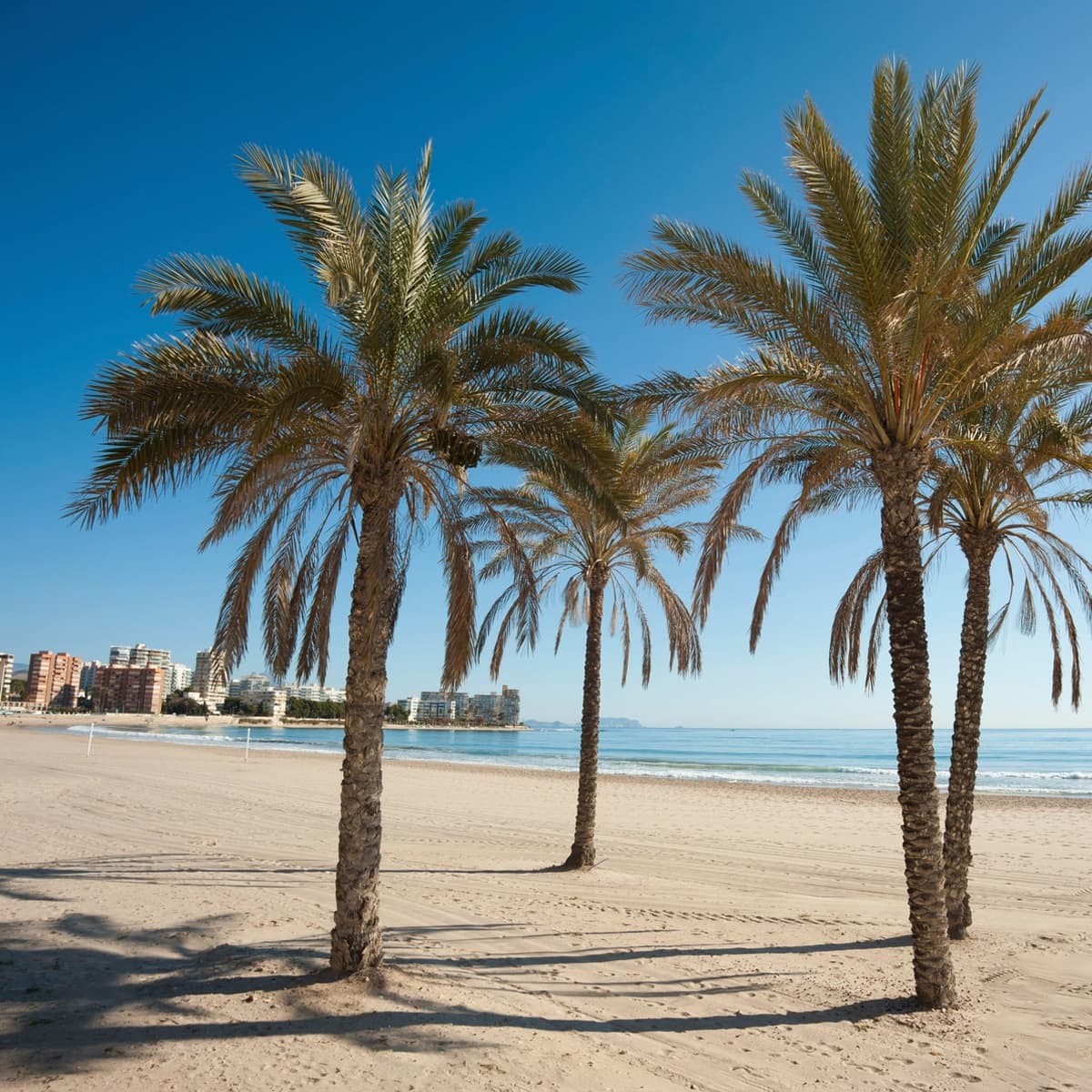 Place de Valencia