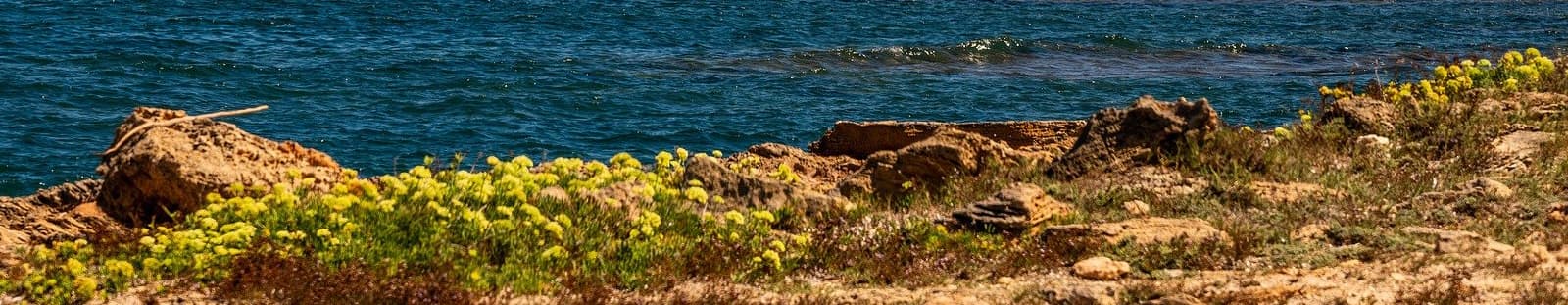 Panorama de La Pobla de Farnals