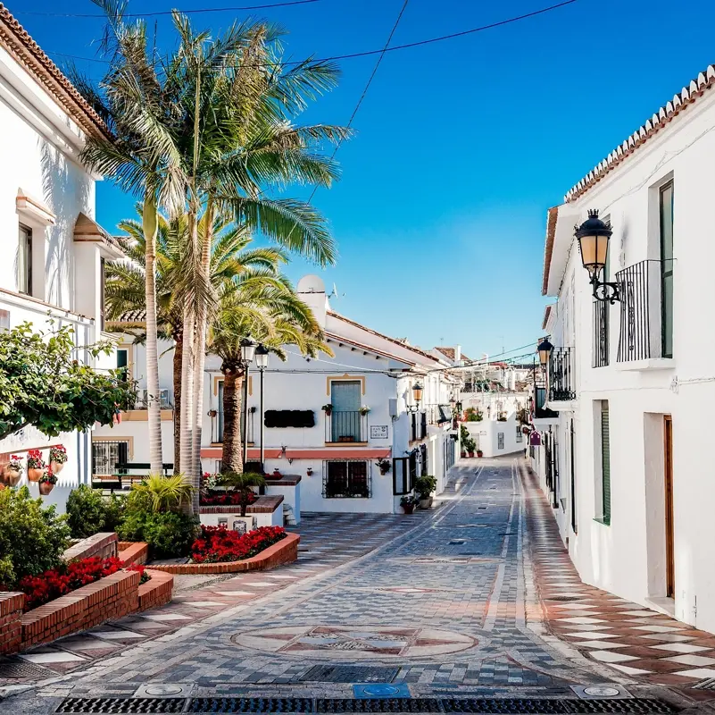 Ruelle pittoresque de Benalmadena avec des maisons blanchies à la chaux, des palmiers et des fleurs colorées