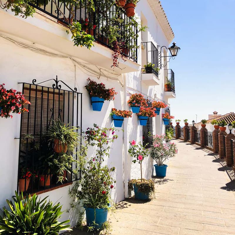 Ruelle typique de Mijas bordée de maisons blanchies à la chaux et ornées de pots de fleurs colorés