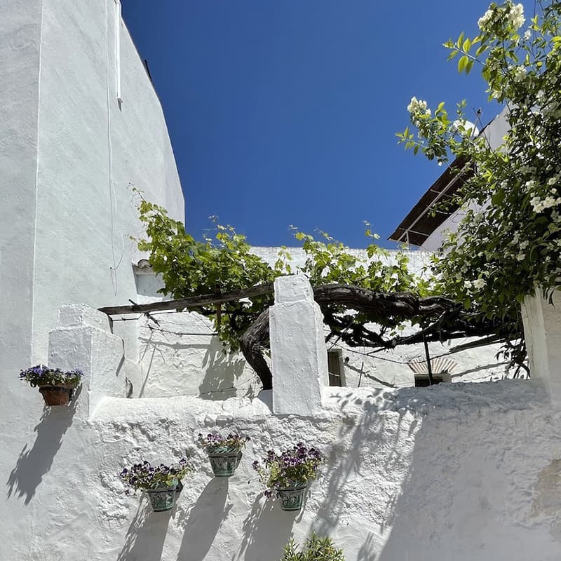 Cour traditionnelle à Nerja avec murs blanchis à la chaux, pots de fleurs et une vigne ombrageant l’espace