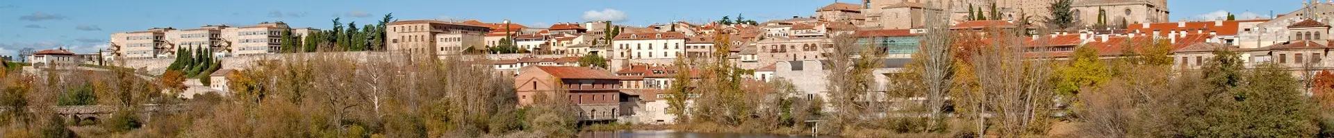 Salamanque panorama